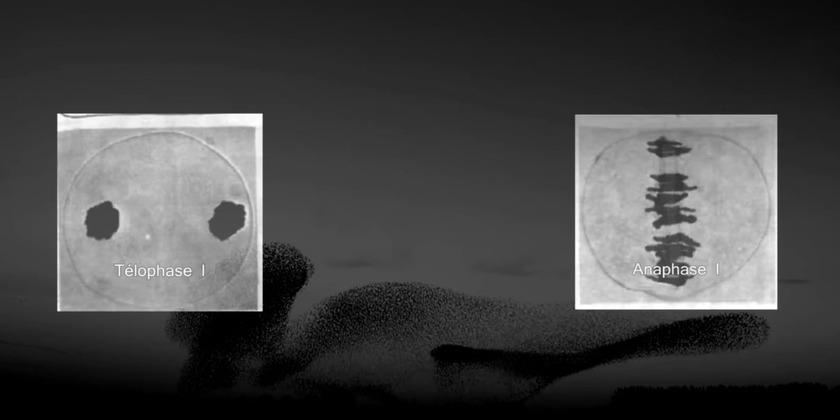 Diseño de instalación de arte interactivo