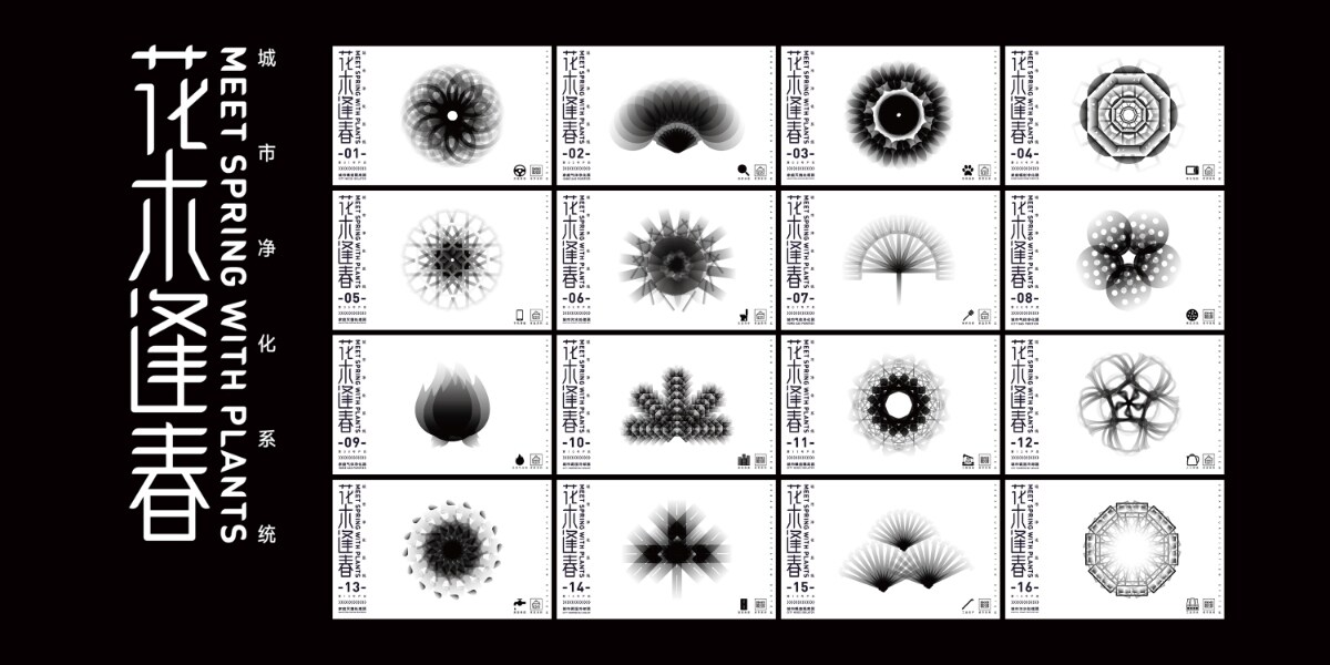 Best New Talent Award