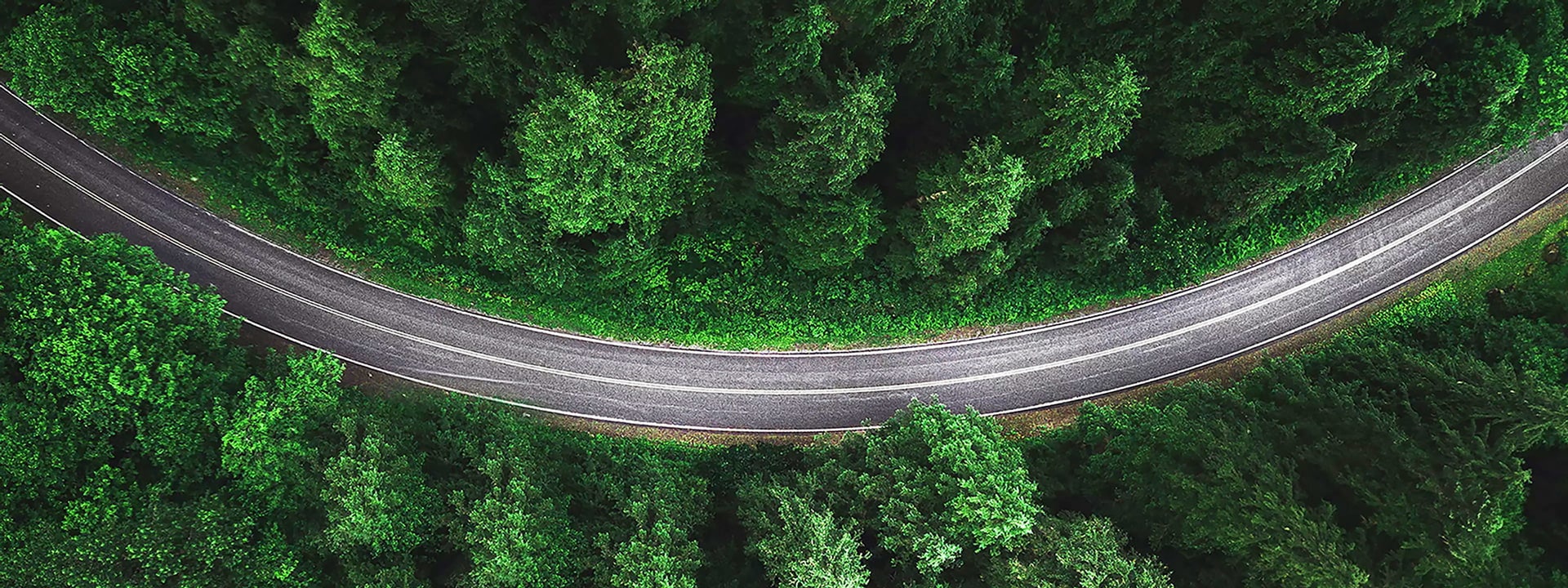 HONOR Kebijakan dan Laporan
