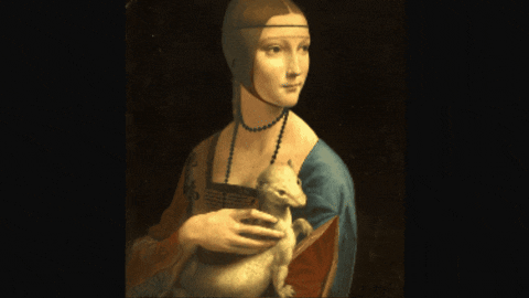 Gif - 1