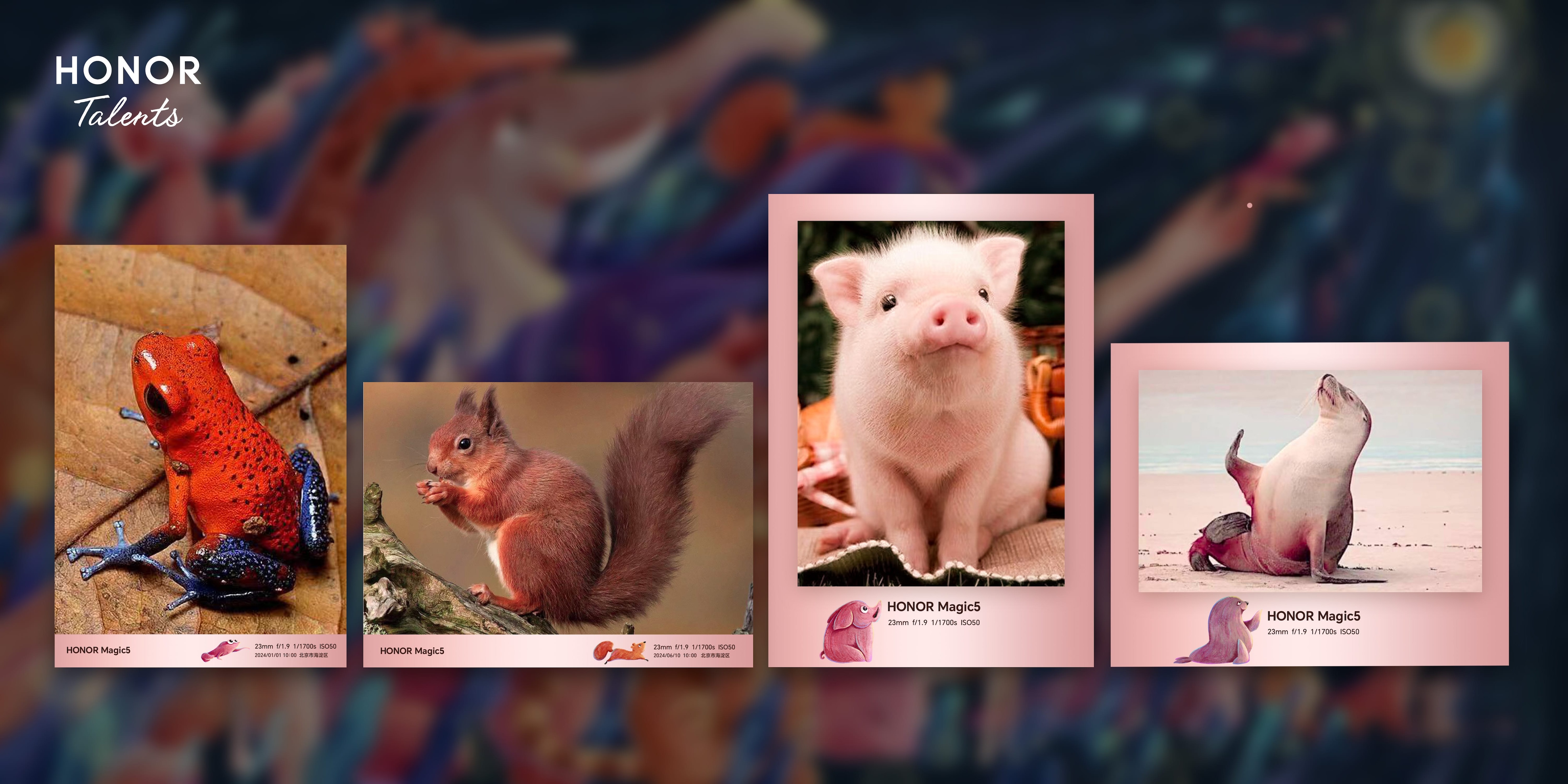 Wallpapers 3er lugar