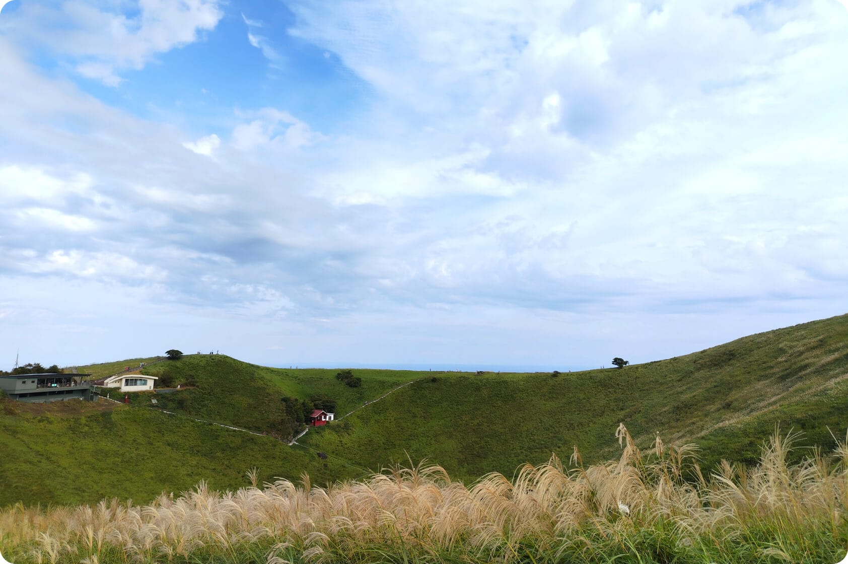   Capturer tous les moments fascinants de la vie 6