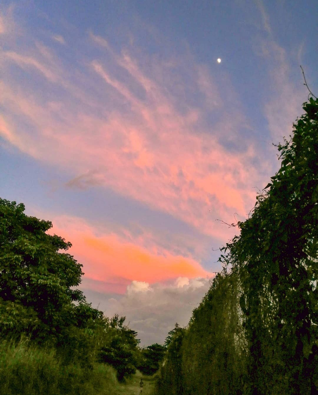 Andres-Pulido---un-atardecer-mágico-en-Antioquia