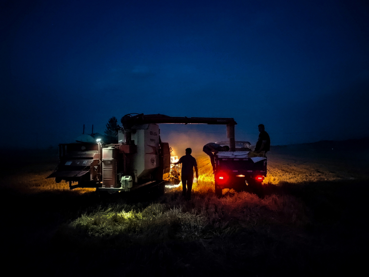 Night of Summer Harvest