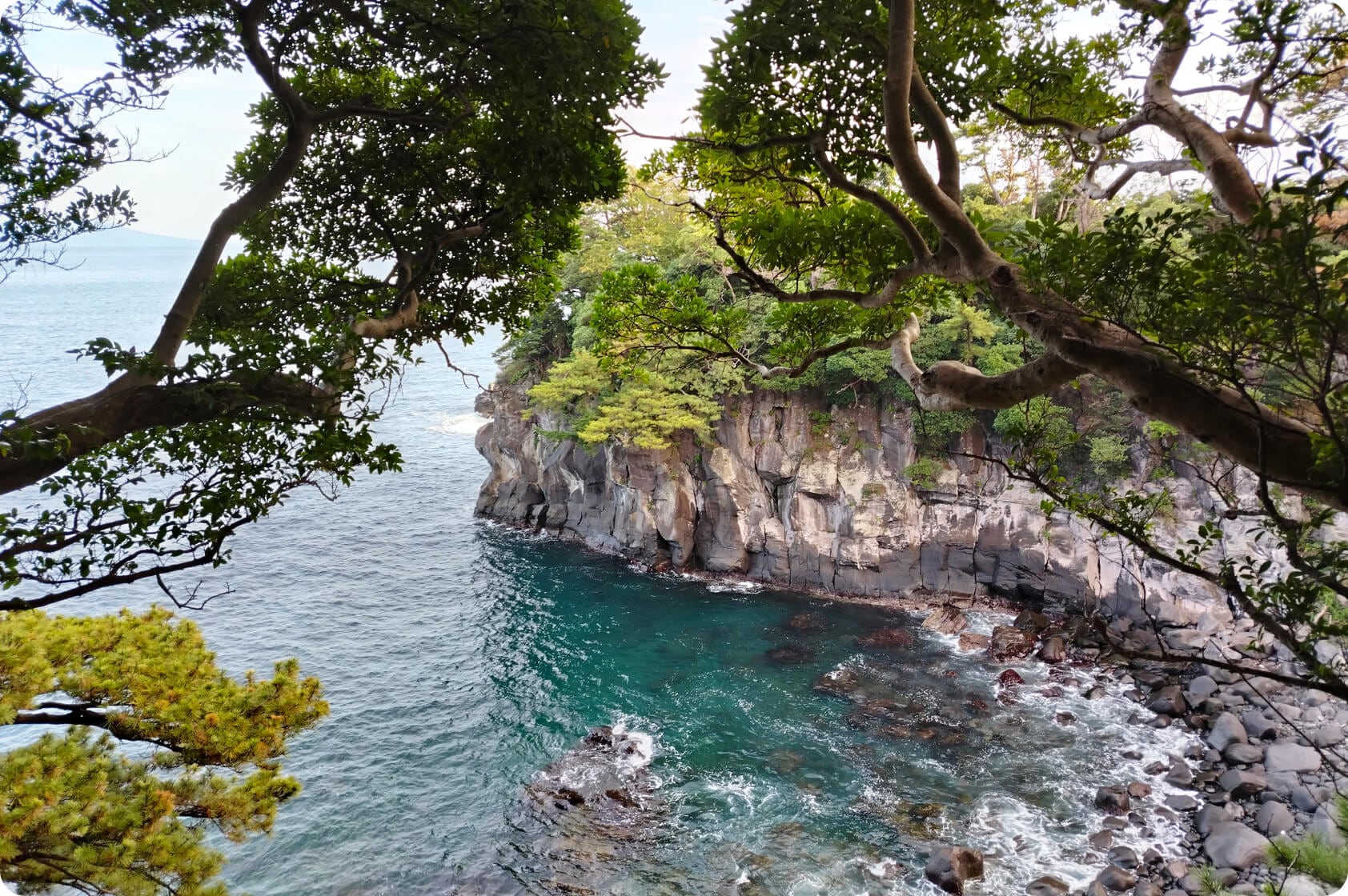 التقط أروع لحظات الحياة  3