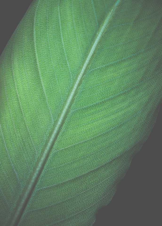 Protección ocular confiable, certificada por TÜV.