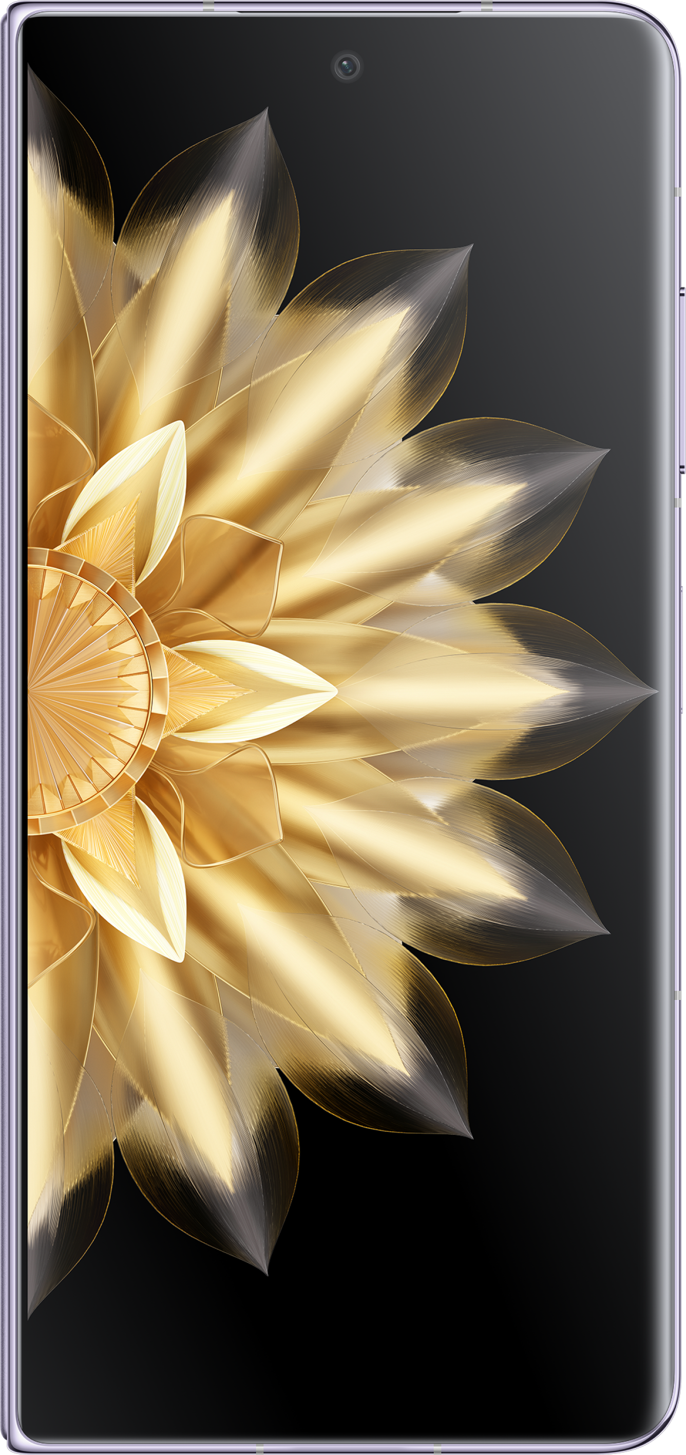 Despliega la magia de las imágenes.