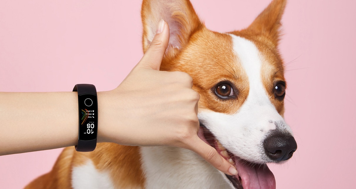 HONOR Band 5: Best Holiday Gift for Fitness Fans