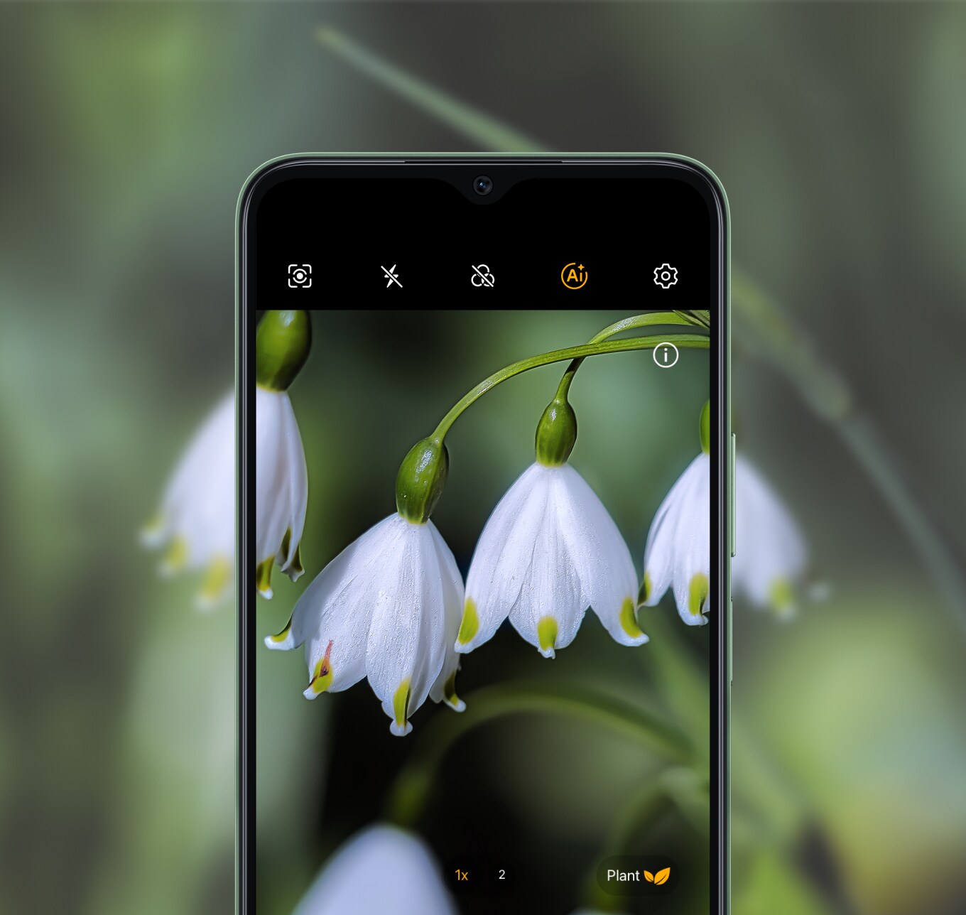 Object Recognition
