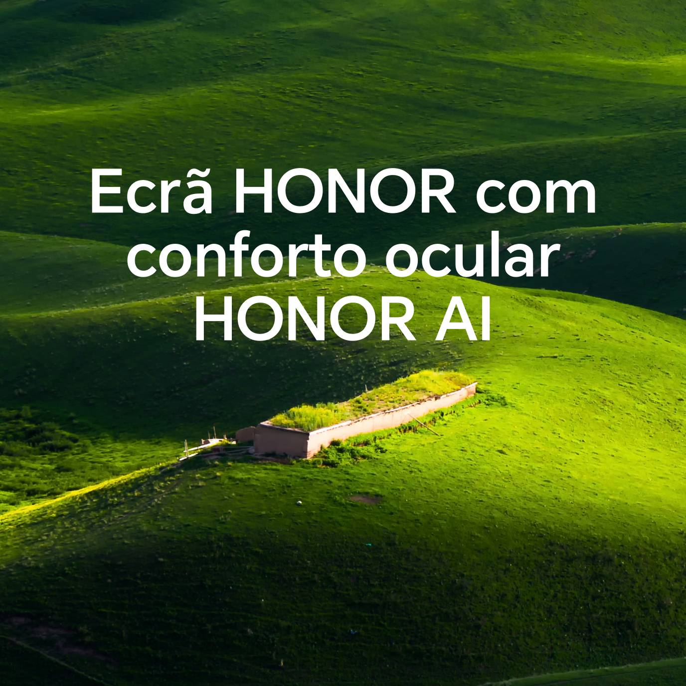HONOR AI Eye Comfort Display