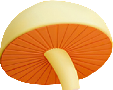 شاشة كبيرة لراحة العين، استمتع بوقت أفضل. 9