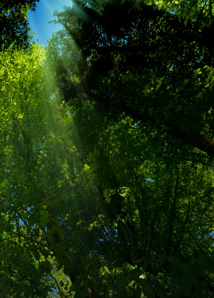 تعتيم بدون وميض PWM بتردد 4320 هرتز لراحة العين.