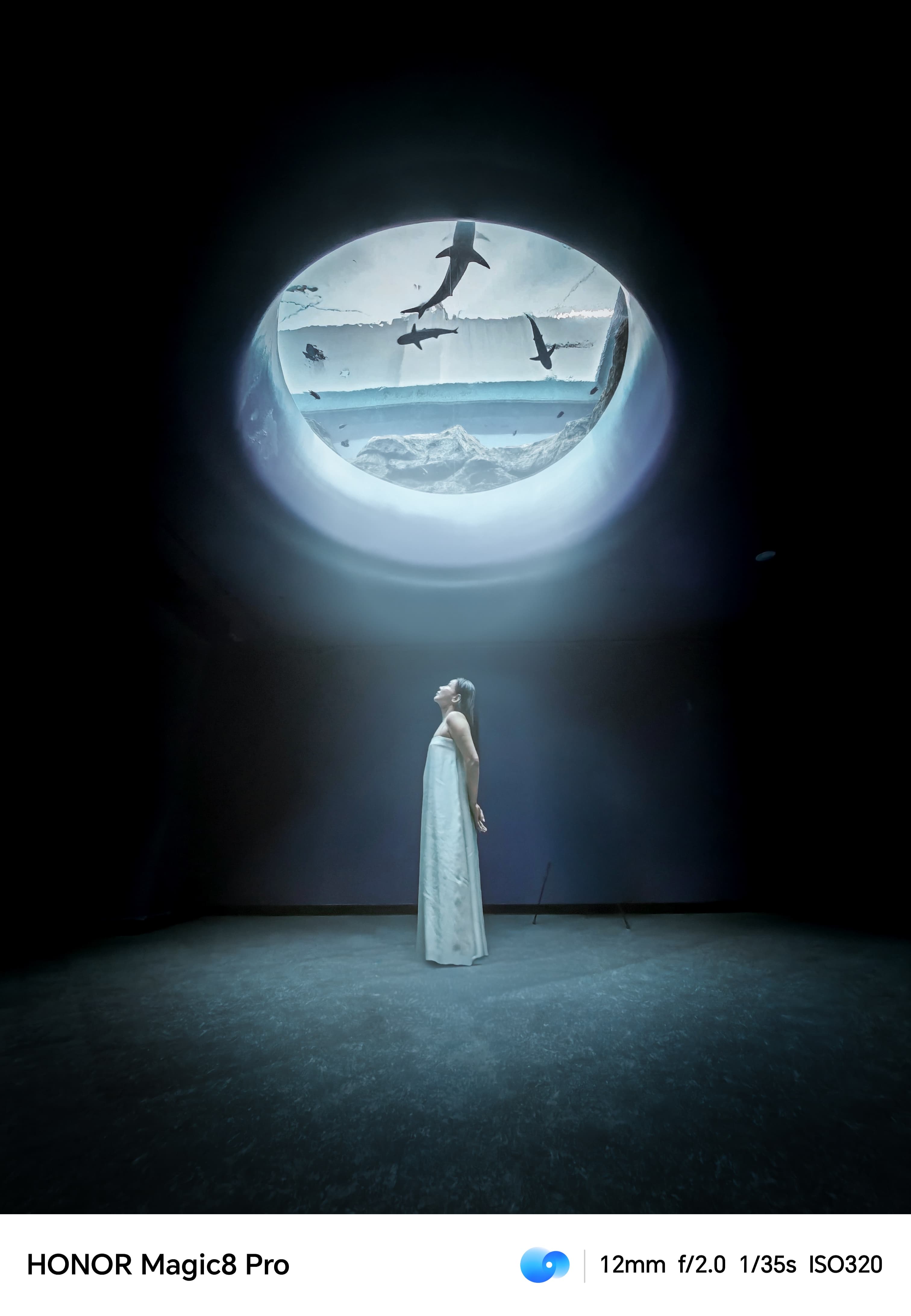 Portrait Mode with the HONOR Magic8 Pro 3