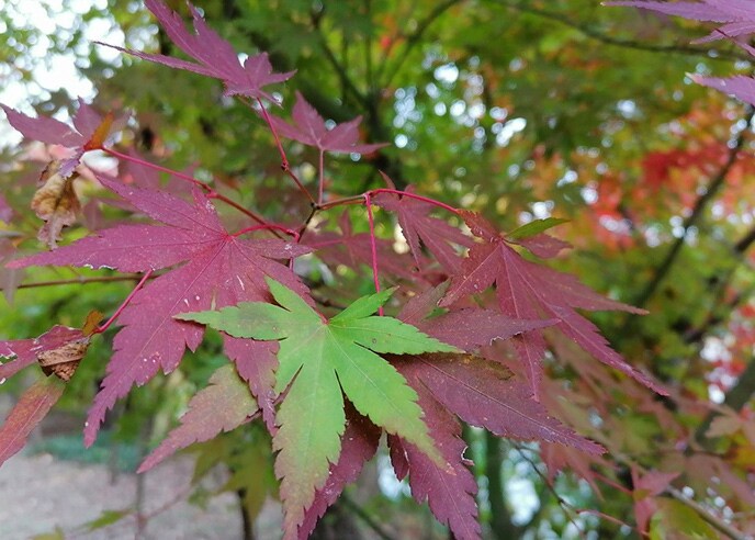 Ako na fotky v zlom počasí?