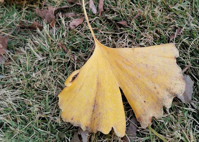 Ako na fotky v zlom počasí?