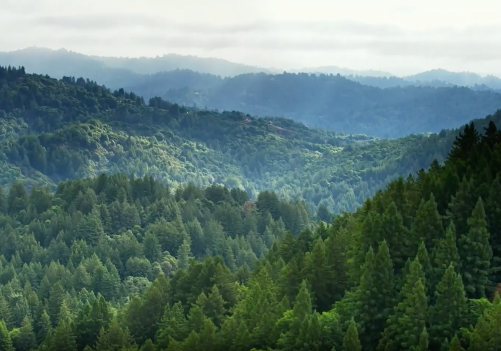 Sustainability in HONOR Products