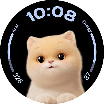 หน้าปัดนาฬิกาแบบไดนามิก 4