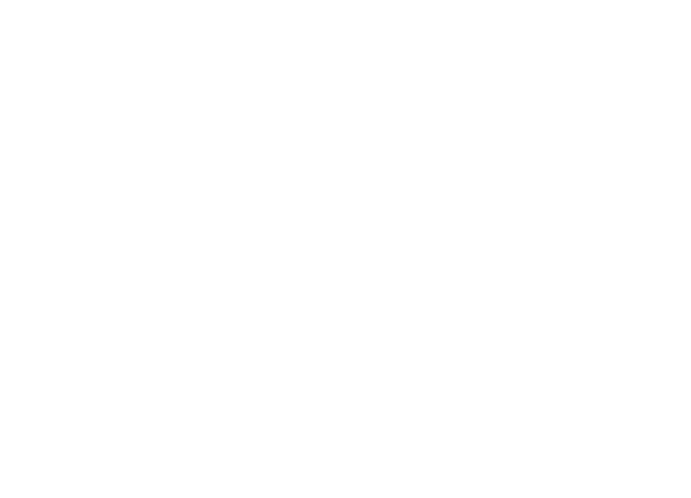 Dual Polished Edges 6