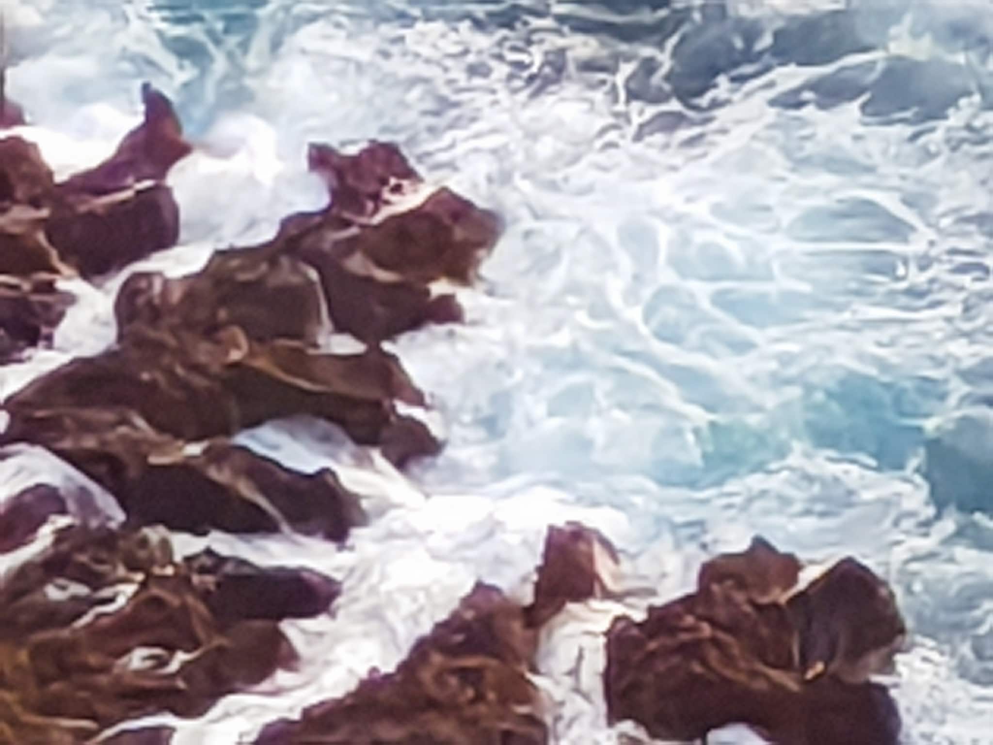 Telephoto, Shows the True Ability