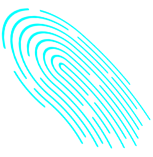 Under-display Fingerprint Recognition