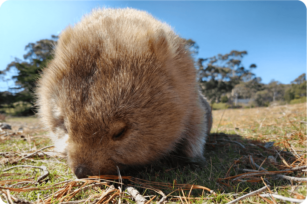 Yoqimli lahzalar yorqin tarzda aks ettiriladi 1