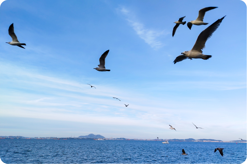 Yoqimli lahzalar yorqin tarzda aks ettiriladi 3